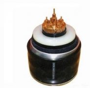 220kv